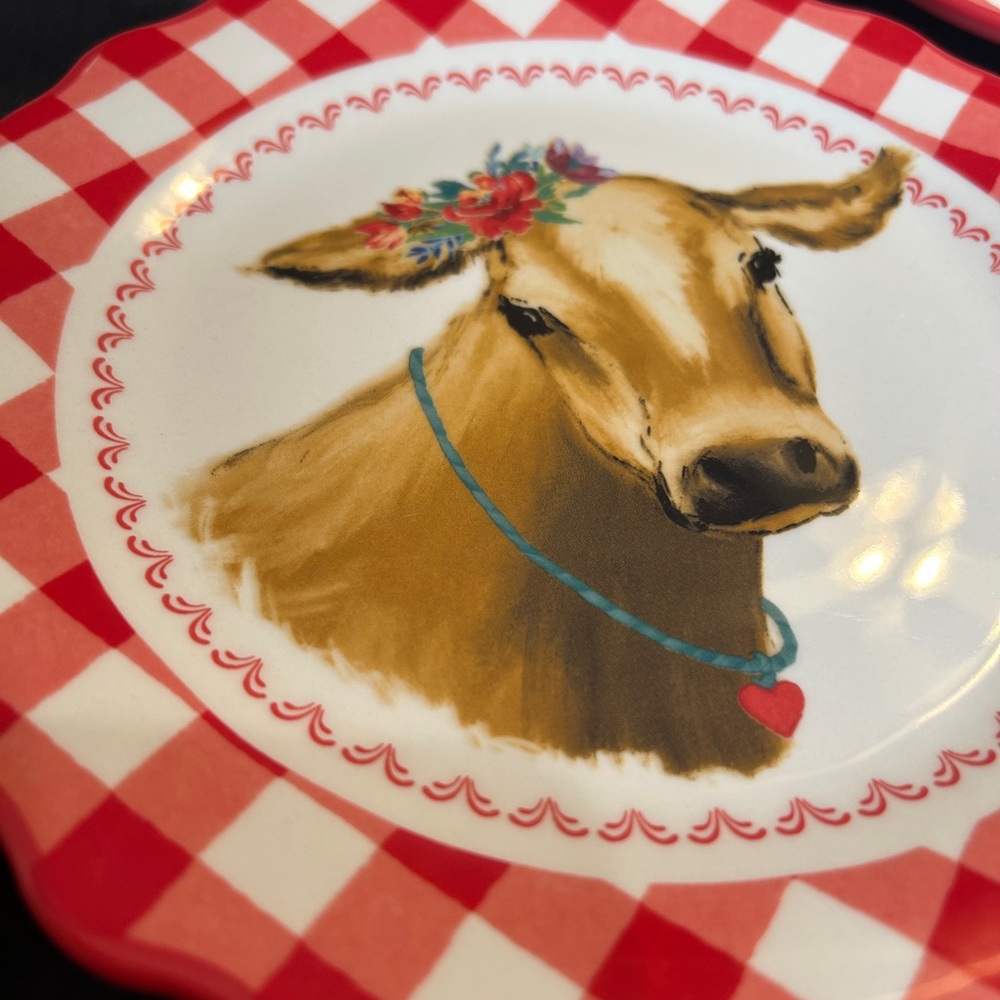 The Pioneer Woman Gingham Salad Plate